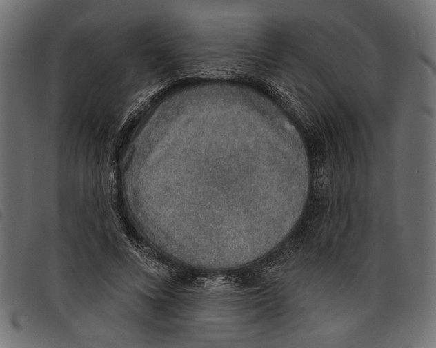 X0000097670688200803281013