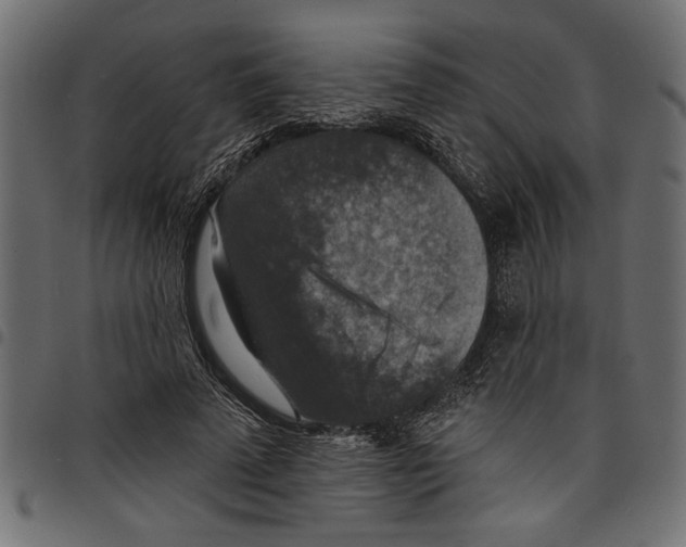 X0000097670689200803281013