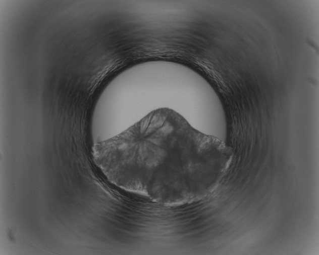 X0000097670691200803281013