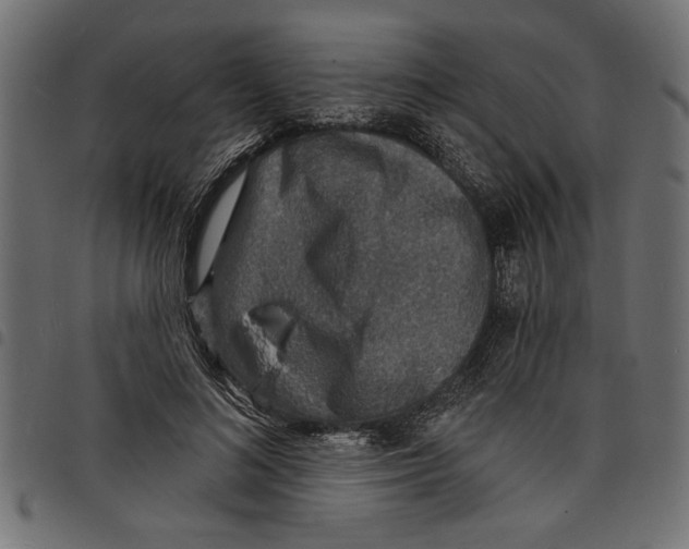 X0000097670692200803281013