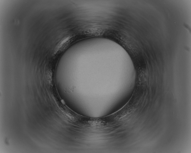 X0000097670693200803281013