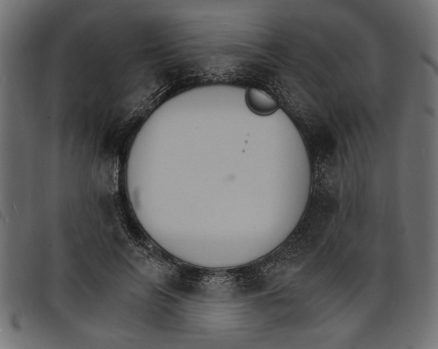 X0000097670694200803281013