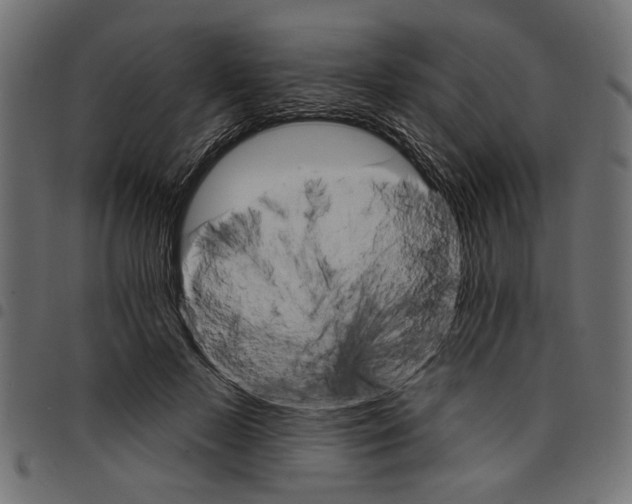 X0000097670695200803281013