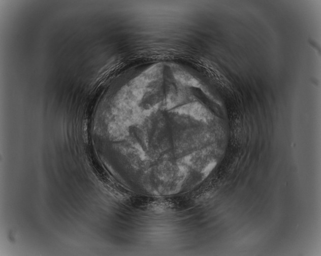 X0000097670696200803281013