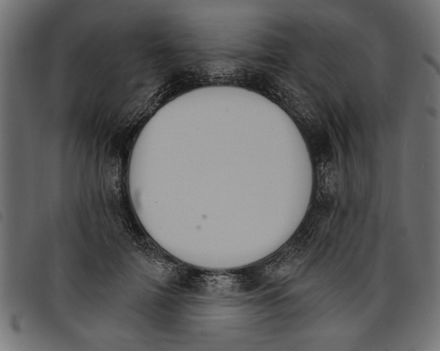 X0000097670698200803281013