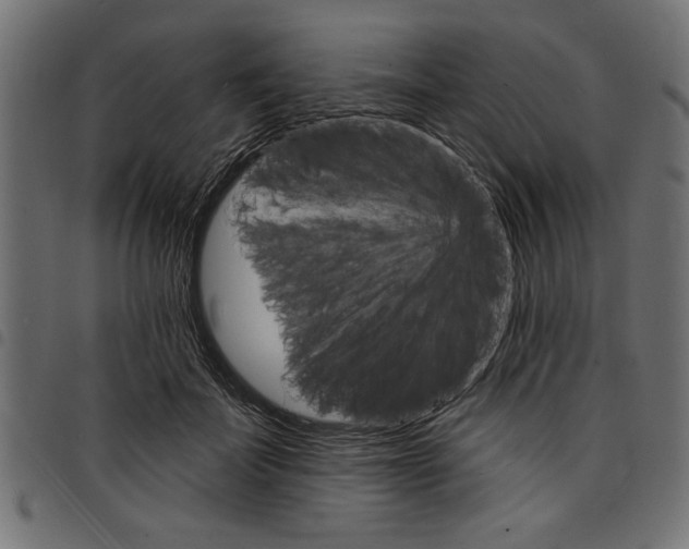X0000097670699200803281013