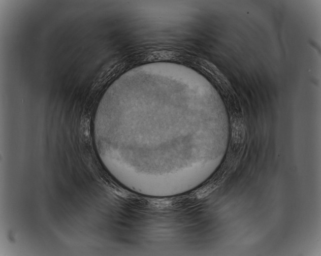 X0000097670701200803281013