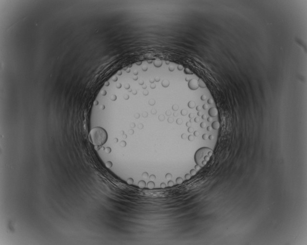 X0000097670702200803281013