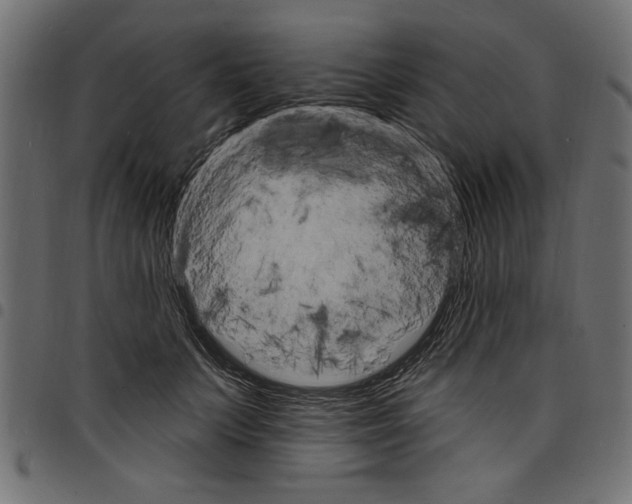 X0000097670703200803281013