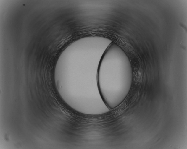 X0000097670704200803281013