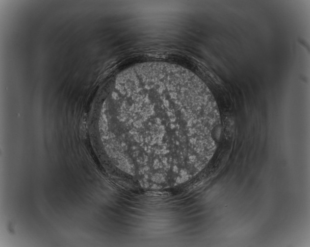 X0000097670707200803281013