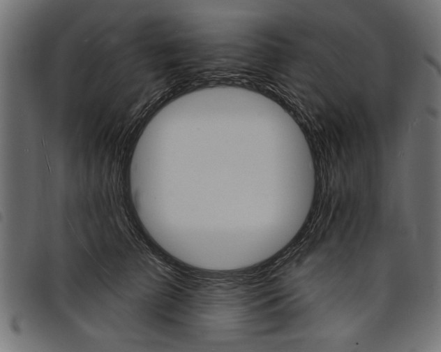 X0000097670709200803281013
