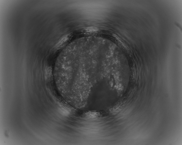 X0000097670711200803281012