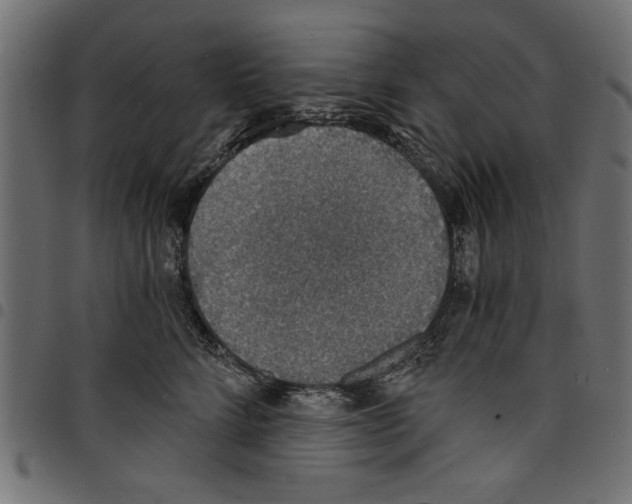 X0000097670712200803281012