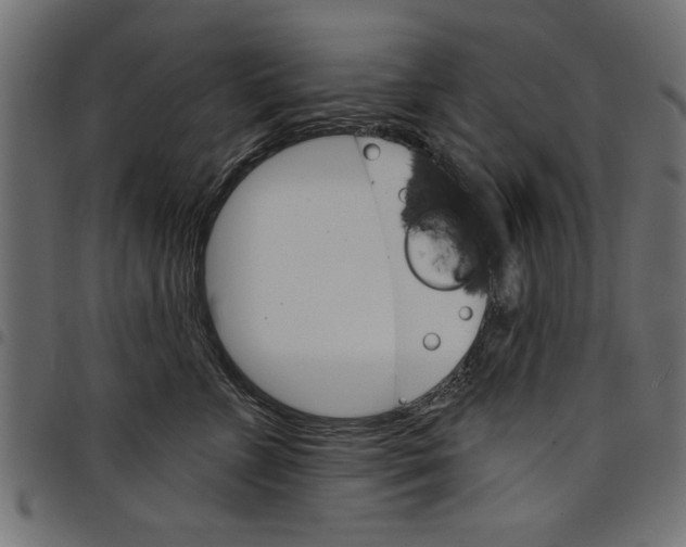 X0000097670715200803281012