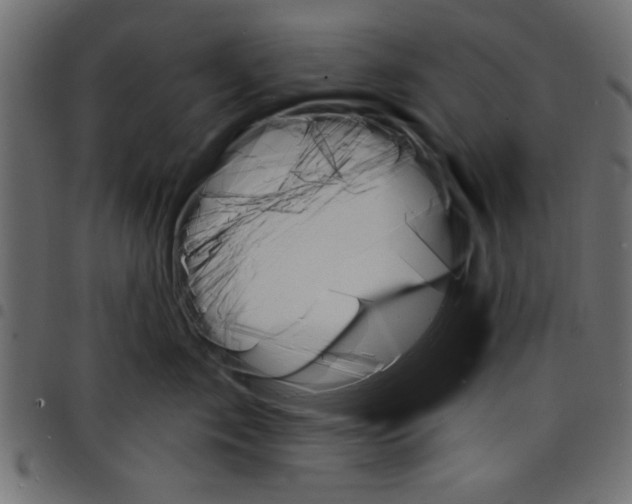 X0000097670717200803281012