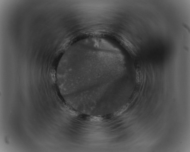X0000097670718200803281012