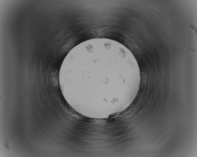 X0000097670719200803281012