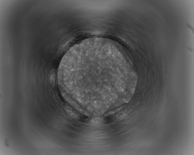 X0000097670720200803281012