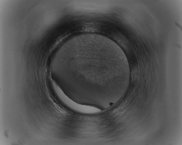 X0000097670722200803281012