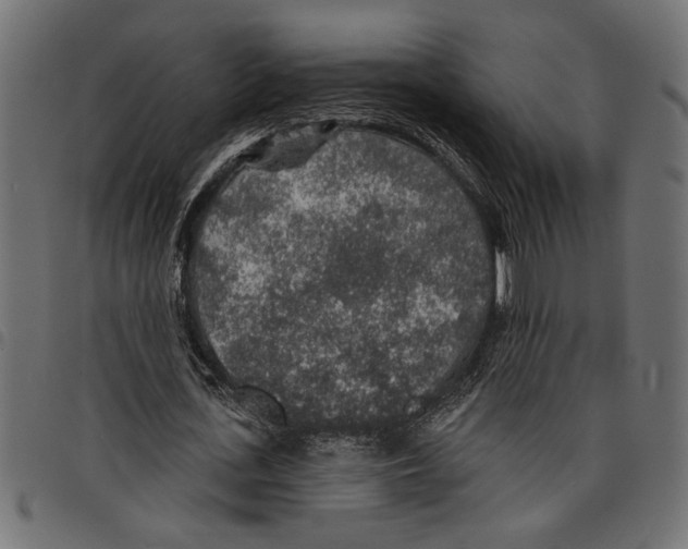 X0000097670723200803281012