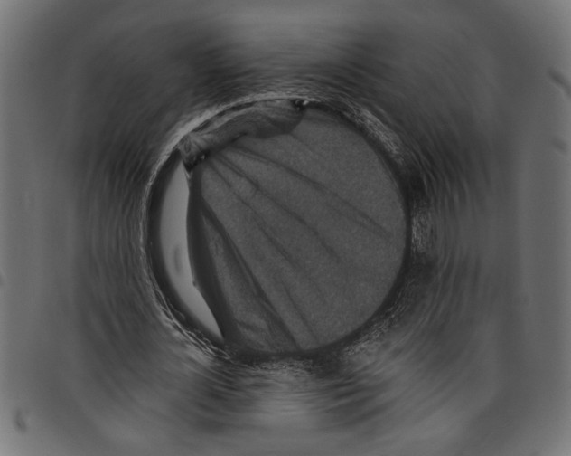 X0000097670724200803281012