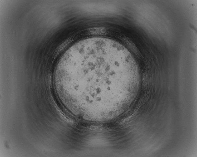 X0000097670725200803281012