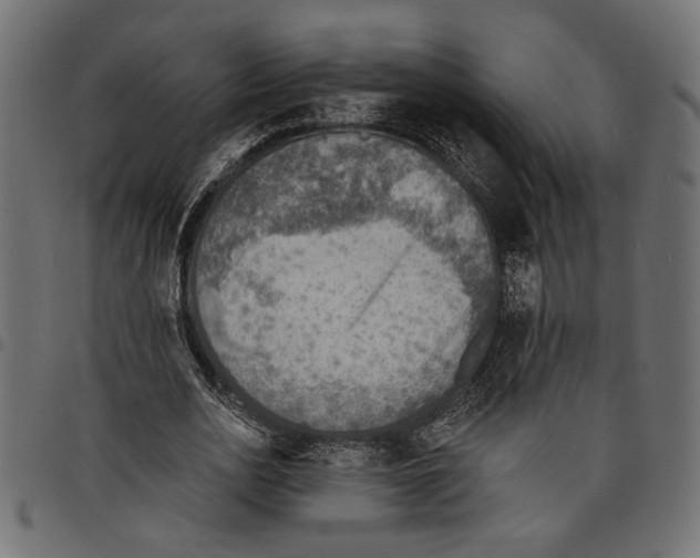 X0000097670726200803281012