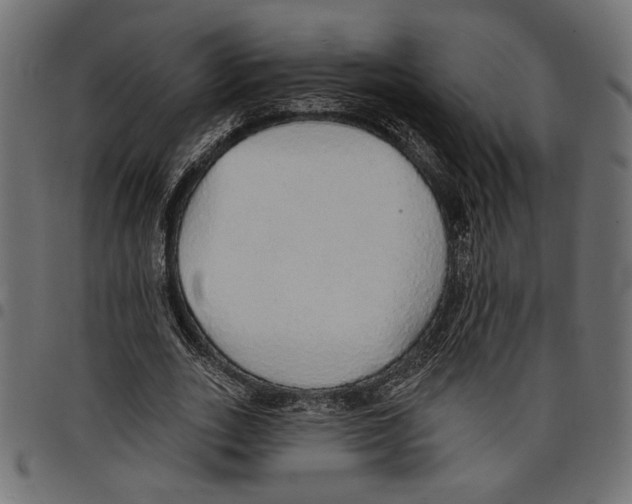 X0000097670727200803281012