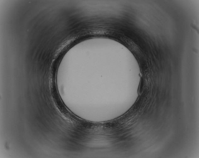 X0000097670728200803281012