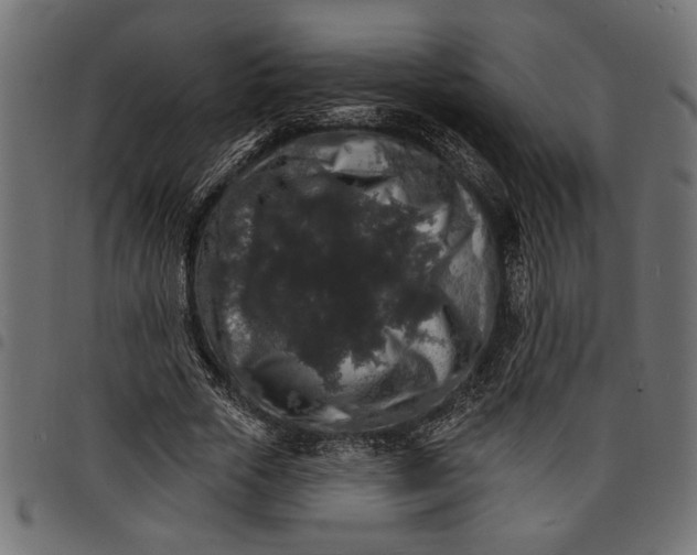 X0000097670729200803281012