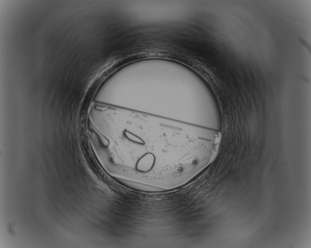 X0000097670730200803281012