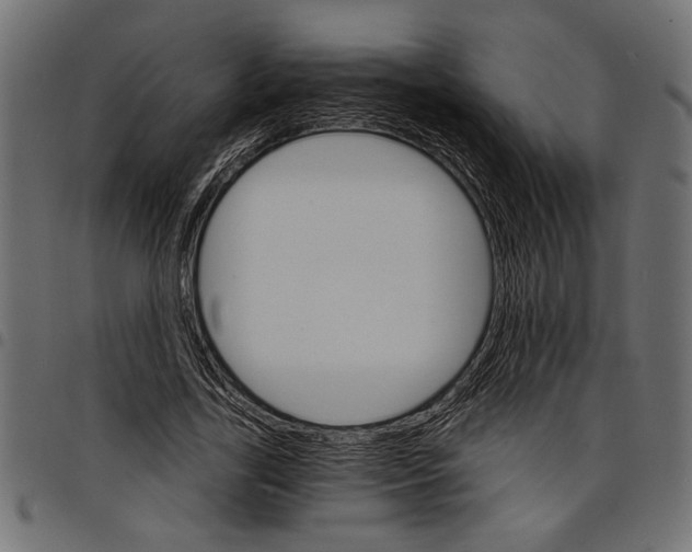 X0000097670731200803281012