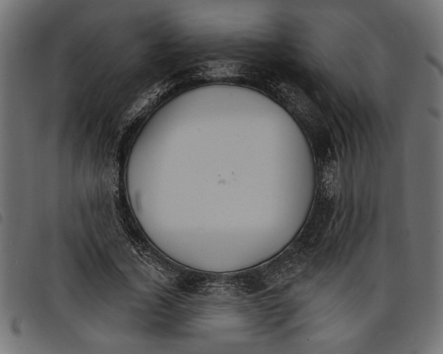 X0000097670732200803281012