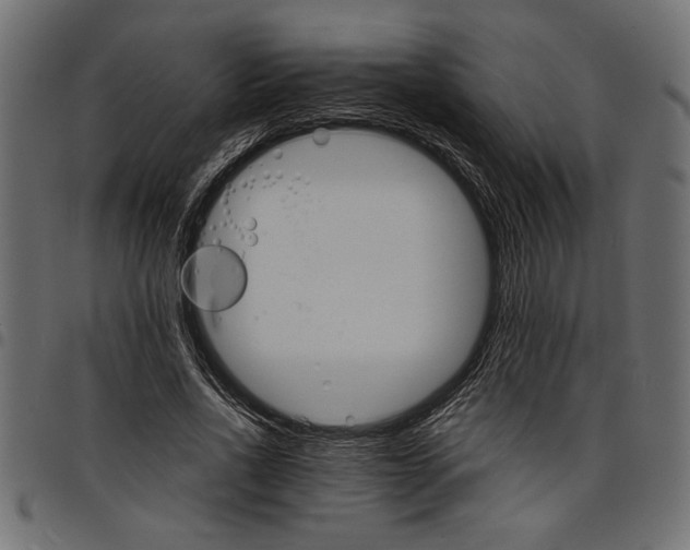 X0000097670734200803281012