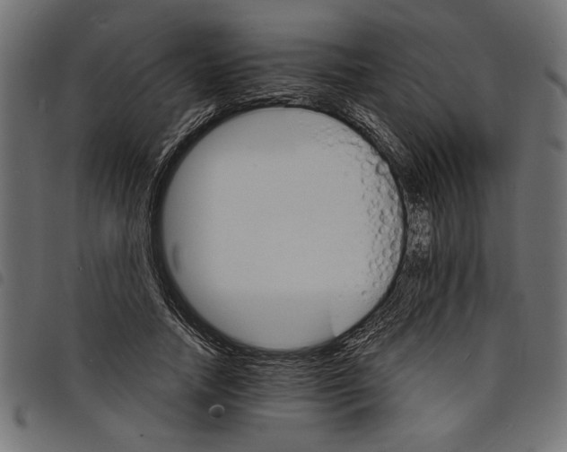 X0000097670738200803281012