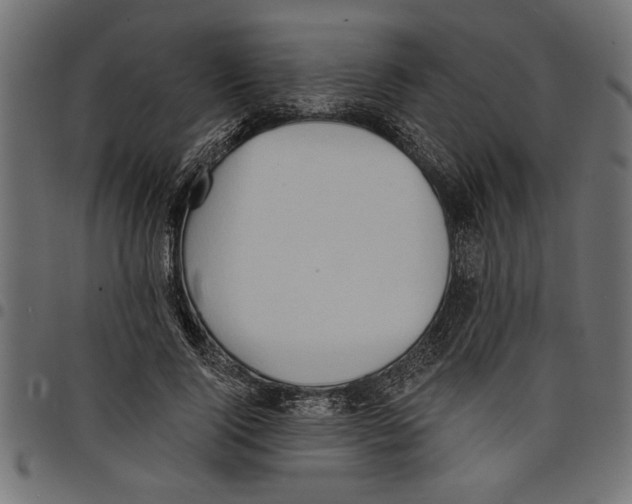 X0000097670740200803281012