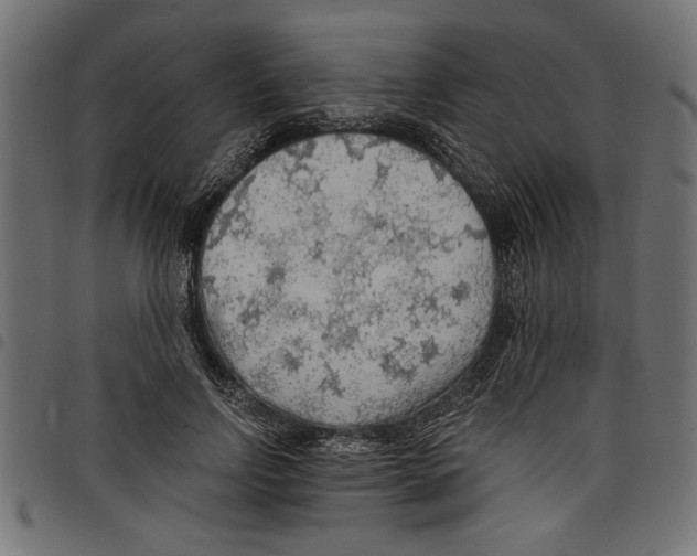 X0000097670742200803281012