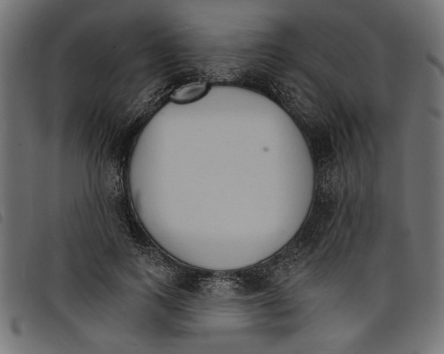 X0000097670743200803281012