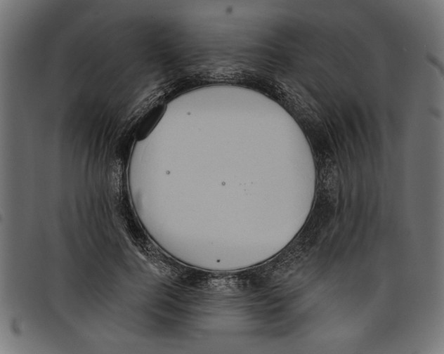 X0000097670744200803281012