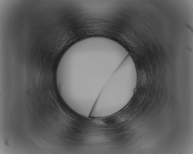 X0000097670747200803281012