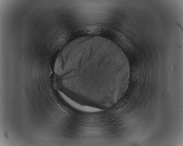 X0000097670748200803281012