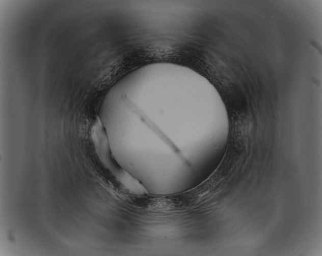 X0000097670750200803281012
