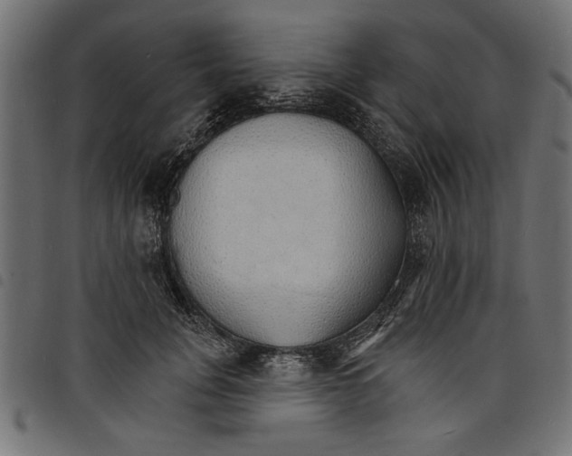 X0000097670751200803281012