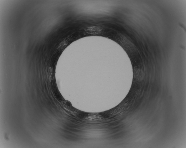 X0000097670752200803281012