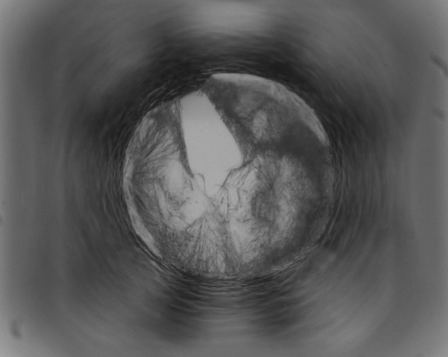X0000097670753200803281012