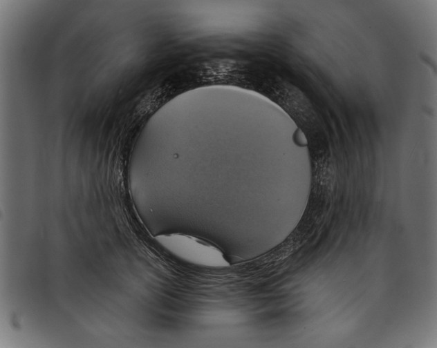 X0000097670754200803281012