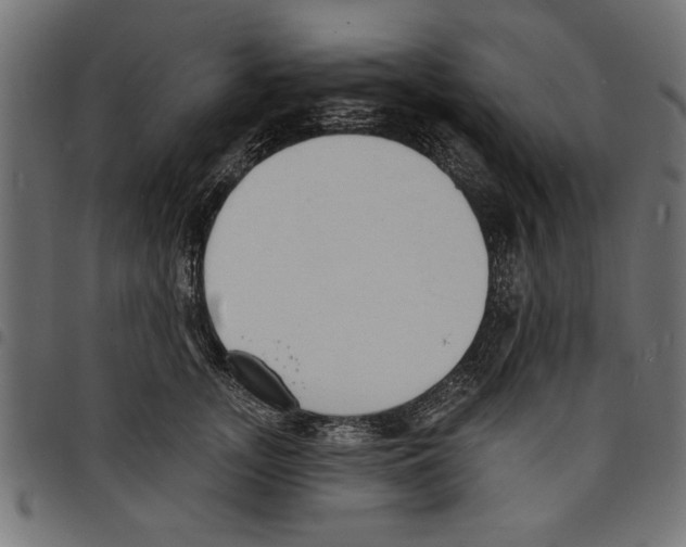 X0000097670755200803281012