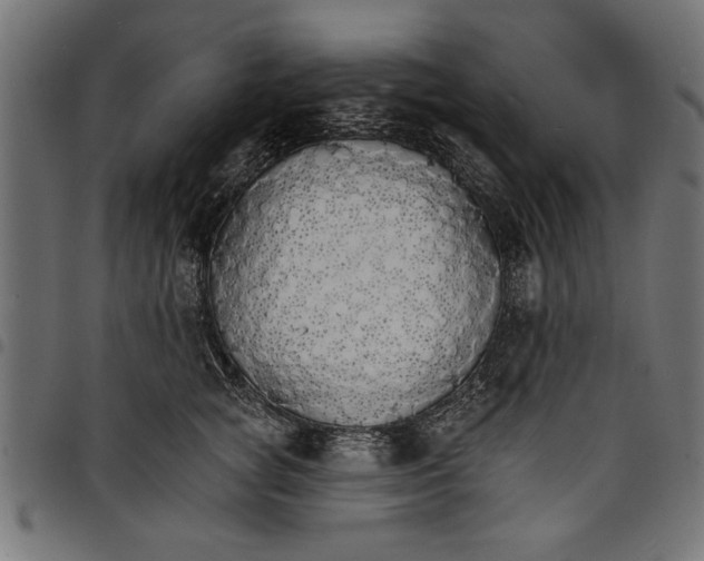 X0000097670757200803281012