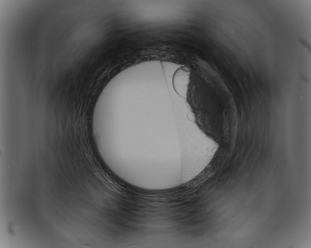 X0000097670758200803281012